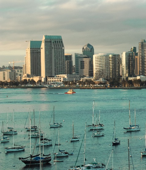 city skyline